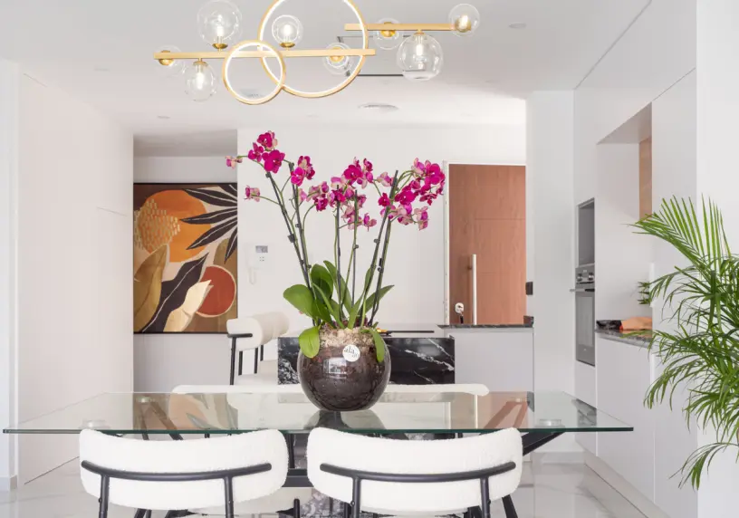 Mediterranea Luxury Homes