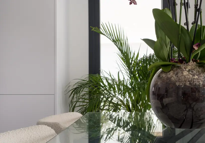 Mediterranea Luxury Homes