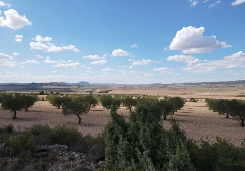 Las Vistas Yecla