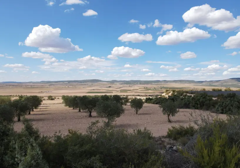Las Vistas Yecla