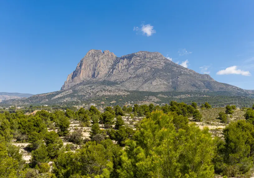 SALISOL HILLS