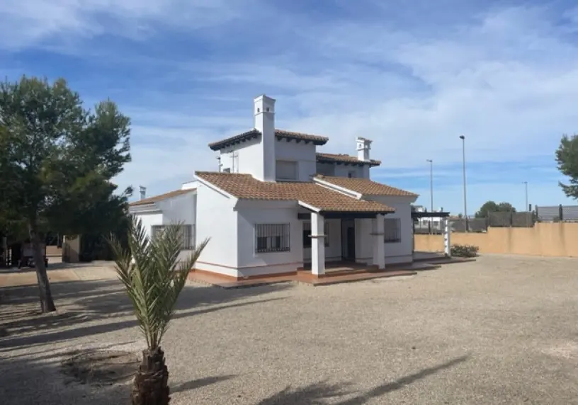 OLIVO - LOS ALTOS DE LAS PALAS - KEY READY