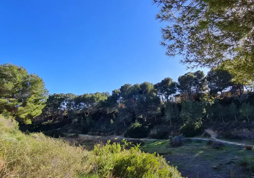 VILLA HIGUERA