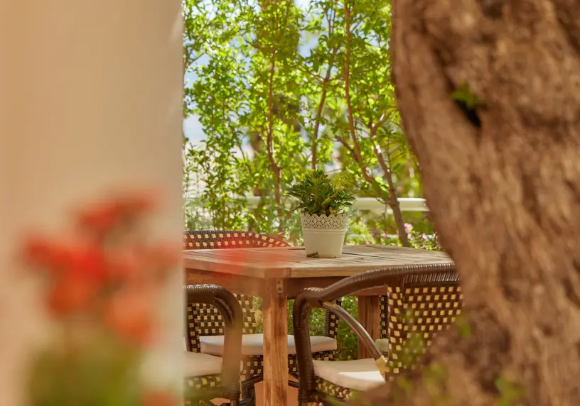 THE COMM Senior Living