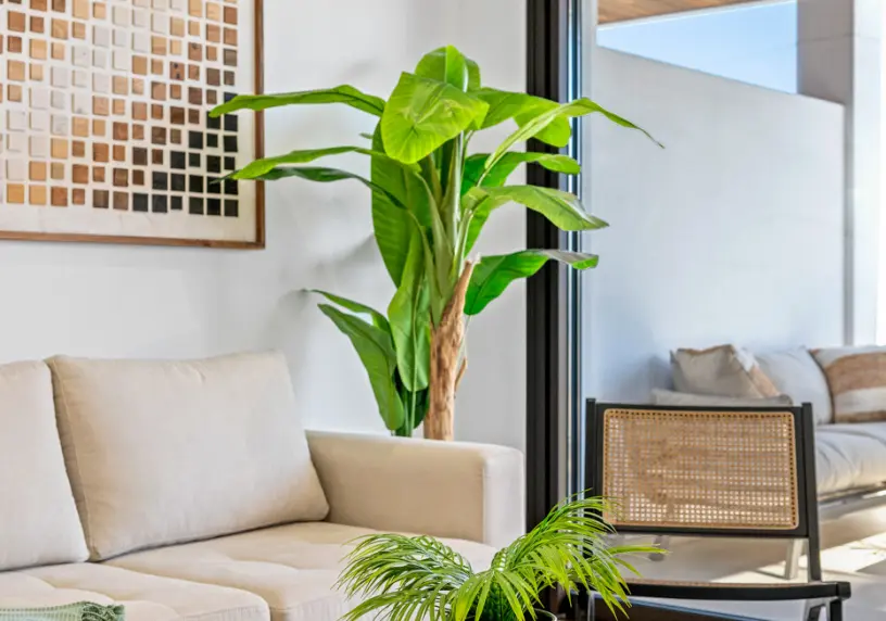 Serena Breeze 3 - Apartments